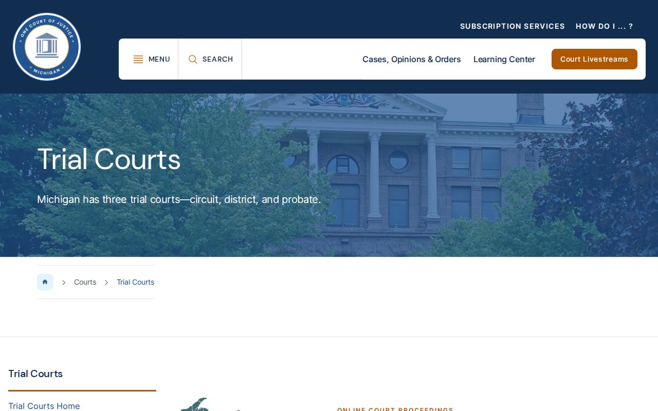 Marion criminal court records through the Michigan trial court directory